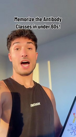 Memorize the Antibody Classes in under 60s! #fyp #medstudent #medicalstudent #medschool #premed #premedstudent #antibodies #physiology #studyhacks