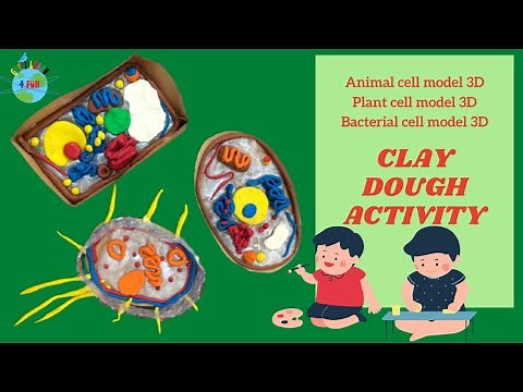 Animal Cell Model | Plant Cell Model | Bacterial Cell Model (3D) with Clay Dough | Science Project