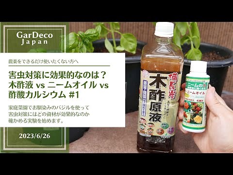 害虫対策にはどの資材が効果的？木酢液vsニームオイルvs酢酸カルシウム#1