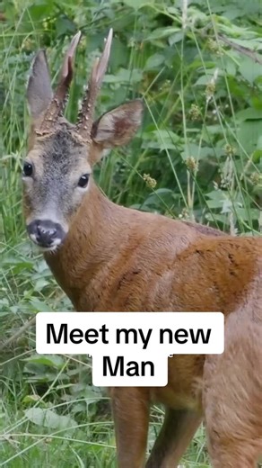 Building a Healthy Relationship with Animals