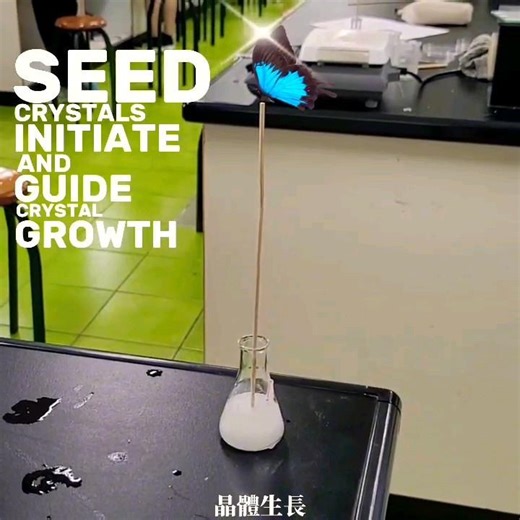 The Function of Seed Crystals #HotIce #ScienceExperiment #CampusLife