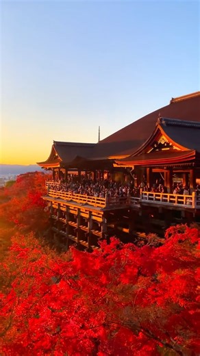 日本 🇯🇵 Aichi Japan on Instagram: "夕陽で染まる清水寺の紅葉が美しかった🌅🍁 清水寺/Kiyomizu-dera, Kyoto📍 清水寺は世界遺産にも登録されています。まだ見ていない隠れたスポットを探検するのも良いですが、私のお気に入りの場所は清水寺です。混雑していても、一度は訪れるべきだと思います。 Location : Kyoto, Japan (京都/日本)🇯🇵 京都のオススメスポットをご紹介しております 他のスポットはこちら 👉@toanluu_jp📸 #日本 #japan #kyoto 清水寺 京都紅葉 紅葉スポット kyoto japan autumn instagram 京都都旅 そうだ京都行こうkyoto kyototrip kyototravel japantravel japantrip kyotojapan kyotophoto kyototrip 京都グルメ 京都ランチ 秋の癒し旅 紅葉スポット 敷き紅葉 紅葉 秋 日本の秋 絶景スポット 秋旅 写真好きな人と繋がりたい 癒しの風景 京都 ライトアップ紅葉 紅葉 京