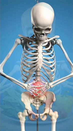 What Happens If You Eat Outside Food Every Day? | Shocking Health Effects | 3D Skeleton #Shorts