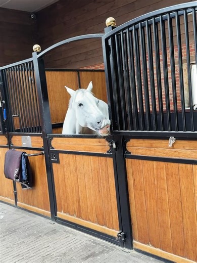 Jessica Springsteen on Instagram: "Summer part ✌️"