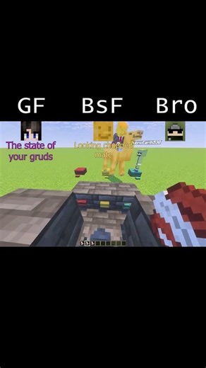 GF vs Friend vs Brother: Who knows me best? #quiz #minecraftquiz #girlfriend #brother #relationship