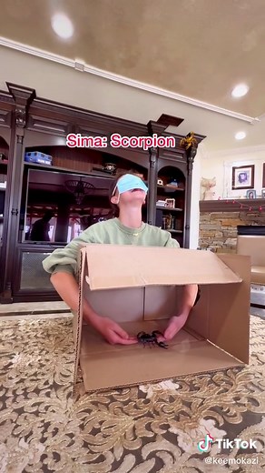 Extreme Game of What's in the Box Challenge