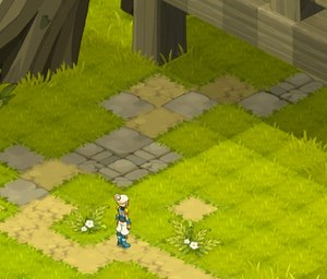 Character animation for Wakfu MMO - Anima Tom