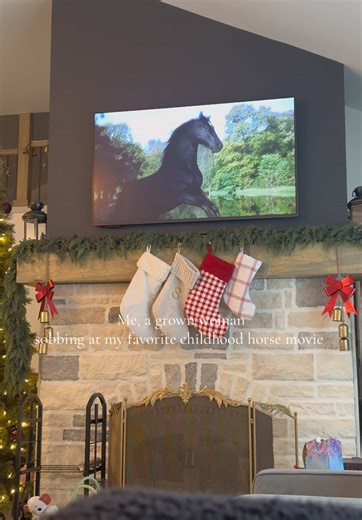 #blackbeauty #horsetok #horsegirl #fyp #equestrian | horses