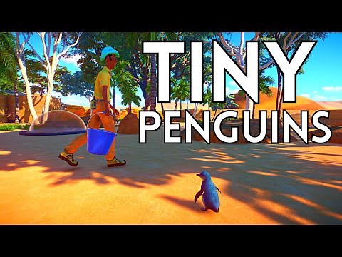 Making a HUGE Ethical Underwater Viewing Habitat for TINY Penguins