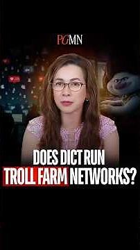 Are Fake Accounts Defending DICT? Suspicious Patterns Uncovered