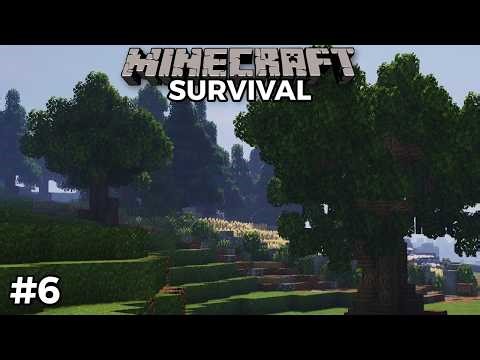 The Secret to Building Custom Minecraft Forests (BwJ #06)