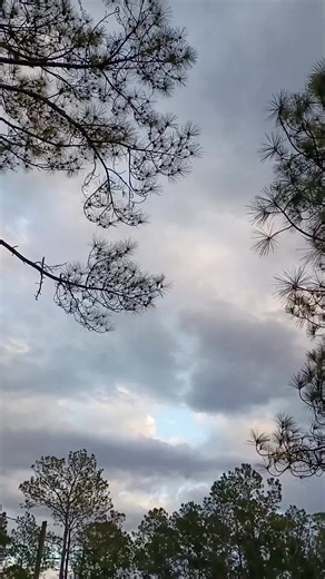58° weather