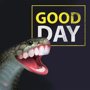 Snake Bite Kits On Sale! Visit: https://firstaidkitsaustralia.com.au/first-aid-kits/snake-bite-kits #snakebite #snakefirstaid #snakebitekit #firstaidkit #firstaidkitsaustralia | First Aid Kits Australia