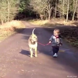 Es para disfrutarlo..! | No dejes de soñar