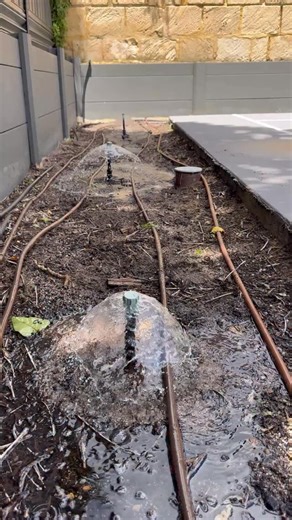 Retic Renovation | Why your trees are dying — and what you can do about it 🌳💧 Tree bubblers have their place. We don’t automatically install them for native... | Instagram