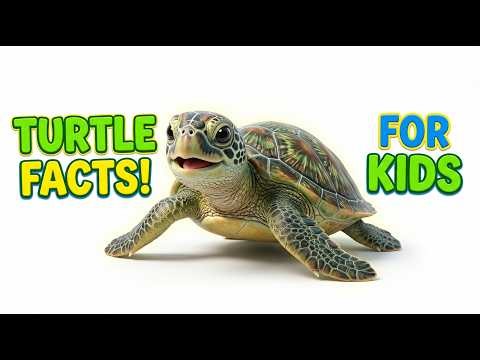 Amazing Turtle Facts 🐢 | Fun & Easy for Kids (1 Minutes)