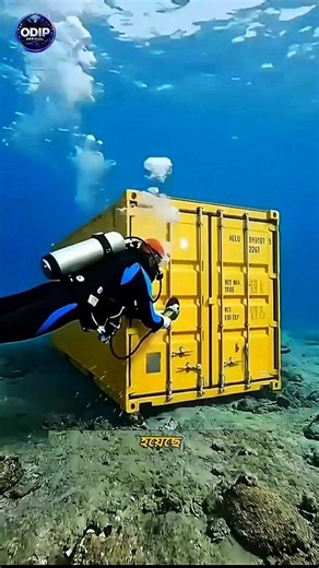 They Turned a Shipping Container Into an Underwater Bedroom! 🌊😱