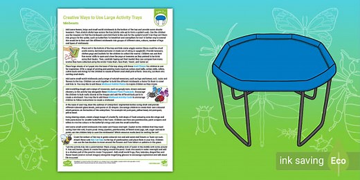 EYFS Ages 3-5 Creative Ways to Use Play Trays: Minibeasts