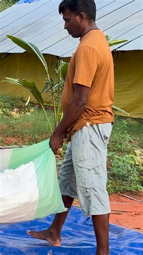 VTR Moringa products | Order enquiry 8122003950 Moringa processing for Thokku and pickle | Instagram