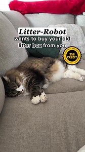 294K views · 228 reactions | It's time for an upgrade. Save up to $150 on select Litter-Robot bundles with our Trade Up Offer.  | Litter-Robot by Whisker | Facebook