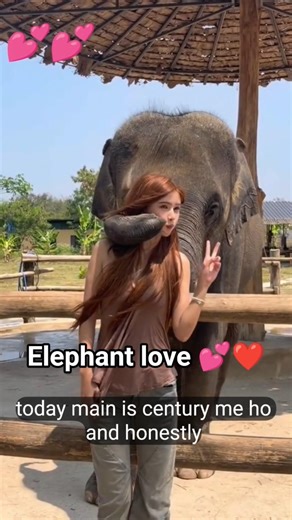 Elephant love you 💖😚 #shortsfeed #elephant #shorts #love #ai #aishorts