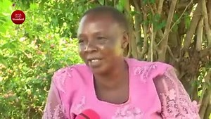 17K views · 739 reactions | DP RUTO EX CLASSMATE hilariously narrates their primary school life | UNK TV | Facebook