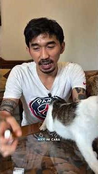 Petlabs wound spray untuk luka kucing.