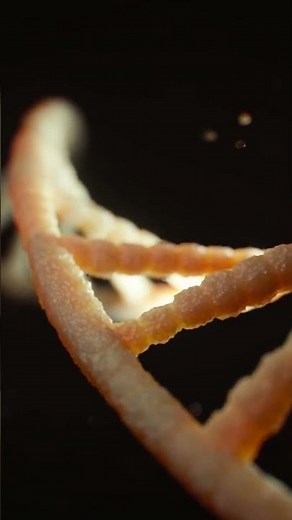 The discovery of the DNA double helix structure by James Watson and Francis Crick in 1953 revolution