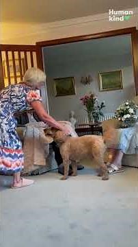 After 72 years of marriage, bride and groom say 'I do' once again
