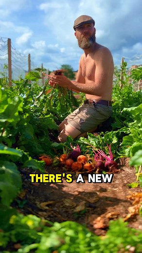 61K views · 2.8K reactions | ⚠️ The system’s biggest fear? You thinking for yourself. Eating food you grew on your own land. And building a life they can’t control.  Comment “YES” and if you want help to make this happen | Wild Minds | Facebook