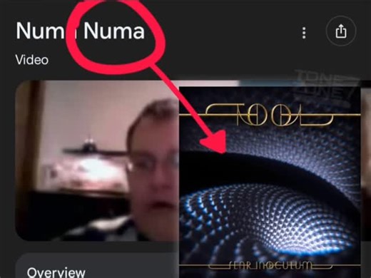T O N E on Instagram: "Yes Pneuma has been playing on repeat lately #tool #toolband #memes #musicmemes #brainrot #rock #hardrock #rockmusic #toolmemes #music #numanuma"