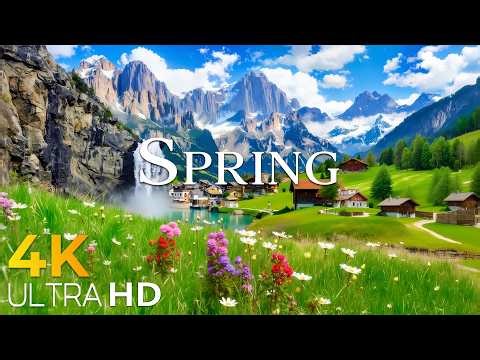 Switzerland Preparing for Spring 4K • Melting Snow & Emerald Valleys | Nature Relaxation Film