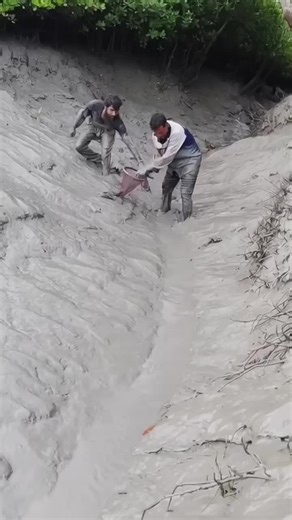 Crossover Move Highlights Compilation