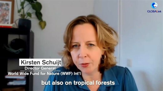 As world leaders gather in Brazil for #COP30, the head of the World Wide Fund for Nature (#WWF) says #China plays a crucial role - from fighting climate change and deforestation to powering the global energy transition and green trade. | China Xinhua News