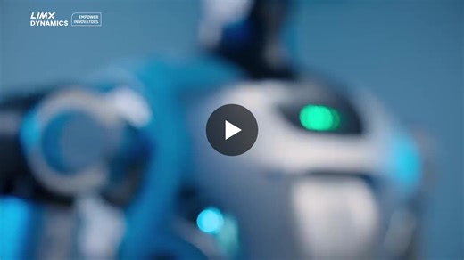 LimX Dynamics unveils humanoid robot Oli with 31 DOFs and Python support | Peter Kappes posted on the topic | LinkedIn