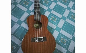 price tag cover by ukulele
