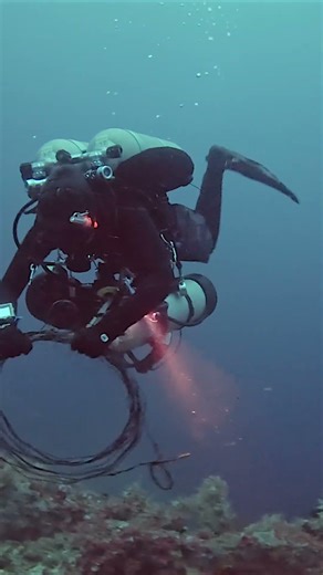 Removing Wire That's Sawing The Reef
