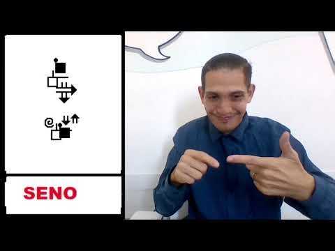 SINE - SIGN IN LIBRAS (Brazilian Sign Language)