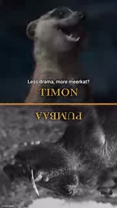 There's three sides to this story...Timon's, Pumbaa's, and the right one 🤭 Mufasa: The Lion King, in cinemas now. | Walt Disney Studios