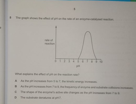 5 8 The graph shows the effect of pH on the rate of an enzyme-... | Filo