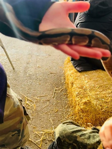 Unique Snake at Osterly Farms