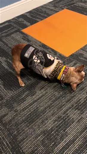 Someone had an Itchy back lol