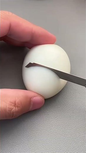 Egg 🥚 Carving Art #shorts #shortsfeed #youtubeshorts