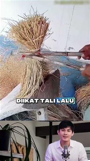 Cara Unik Petani Thailand Merontokkan Padi Pakai Dua Bambu Tanpa Mesin