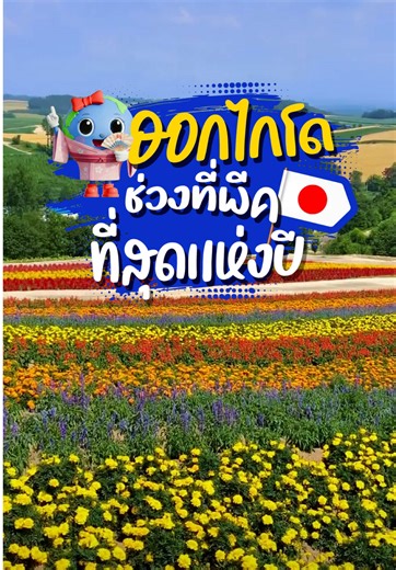 🇯🇵ฮอกไกโด ช่วงที่พีคที่สุดแห่งปี ⭐️รหัส BT-CTS_S03_XJ ✈️เดินทาง 15 - 19 ก.ค. 69 | 22 - 26 ก.ค. 69 💵ราคา 34,999.- 📌ผ่อน 0% นานสูงสุด 3 เดือน 🏢 บริษัท อิมเมจิ้นทัวร์แอนด์ทราเวลเซอร์วิส จำกัด 📄 ใบอนุญาตท่องเที่ยว เลขที่ 11/08655 ✅อิมเมจิ้นทัวร์ พร้อมพาคุณออกเดินทางสู่โลกกว้าง กับทัวร์ต่างประเทศหลากหลายเส้นทาง เที่ยวสบายใจทุกทริป ด้วยการดูแลจากทีมงานมืออาชีพที่มีประสบการณ์มากกว่า 22 ปี✨ 🌐 ชมโปรแกรมได้ที่ : www.imaginetourservice.com 🆔 Line : @imaginetour หรือ https://bit.ly/3rbRstp 🔥 ทัวร์ไ