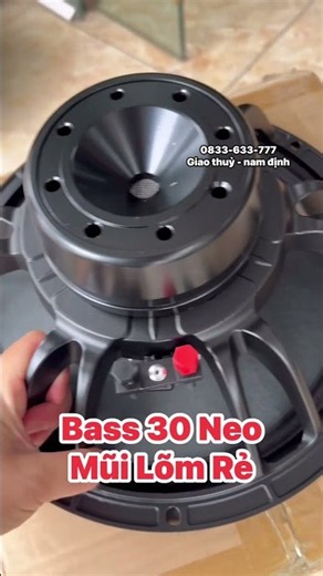 Unbeatable Price: 12-Inch Neo Fishbone Frame Concave Dust Cap 76mm Coil Bass Speaker for Array, R...