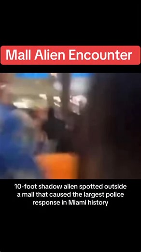 The Miami Mall Encounter happened when chaos broke out at the Bayside Marketplace on New Years Day 2024 causing the largest Police Response in Miami history. The official story is that it was all caused by teens in the area, however eyewitnesses claim it was a 10-foot shadow alien spotted outside a mall Many believe this creature was even caught on camera in this footage of the incident. Yet, no official bodycam or mall surveillance footage has ever been released to confirm the official story of