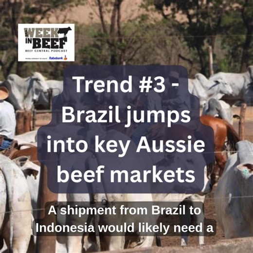 🐂Beef trends of 2025🐂 Trend #3 - Brazil jumps into key Australian markets A big decision declare Brazil officially free of Foot & Mouth disease has opened up a range of new market opportunities for the beef producing powerhouse. Some of those opportunities have opened up in key Australian markets, where Australia has previously had an advantage - including some high value beef markets and our number one live export market. | Beef Central