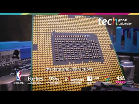 Fundamentals of computer system operation ❘ TECH Global University