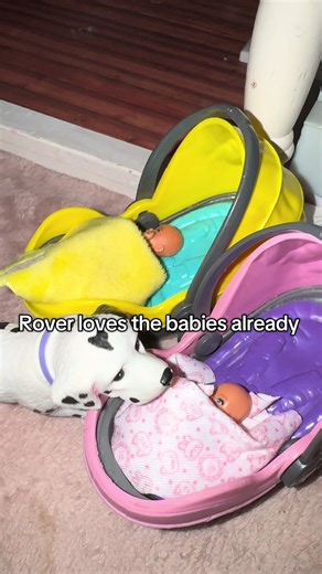Welcome Home Twin Babies!
